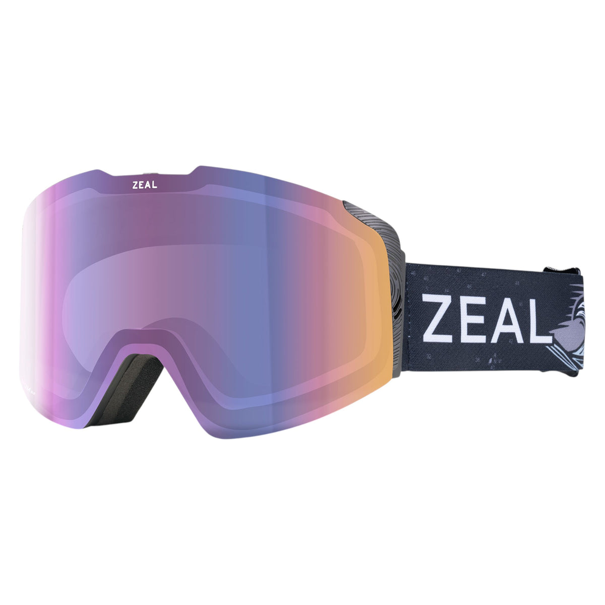 Meridian RLS+ODT Adult Ski Goggles