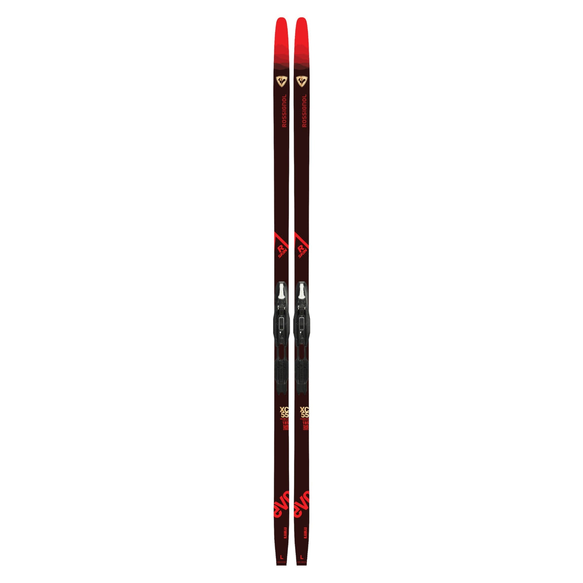 Skis de Fond Evo XC 55 R-Skin IFP + Control Step In Adulte