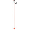 Arctic Adult Ski Poles