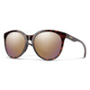 Bayside Adult Sunglasses