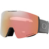 Fall Line L Adult Ski Goggles