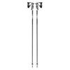 Bâtons de Ski Bold Lite S Adulte