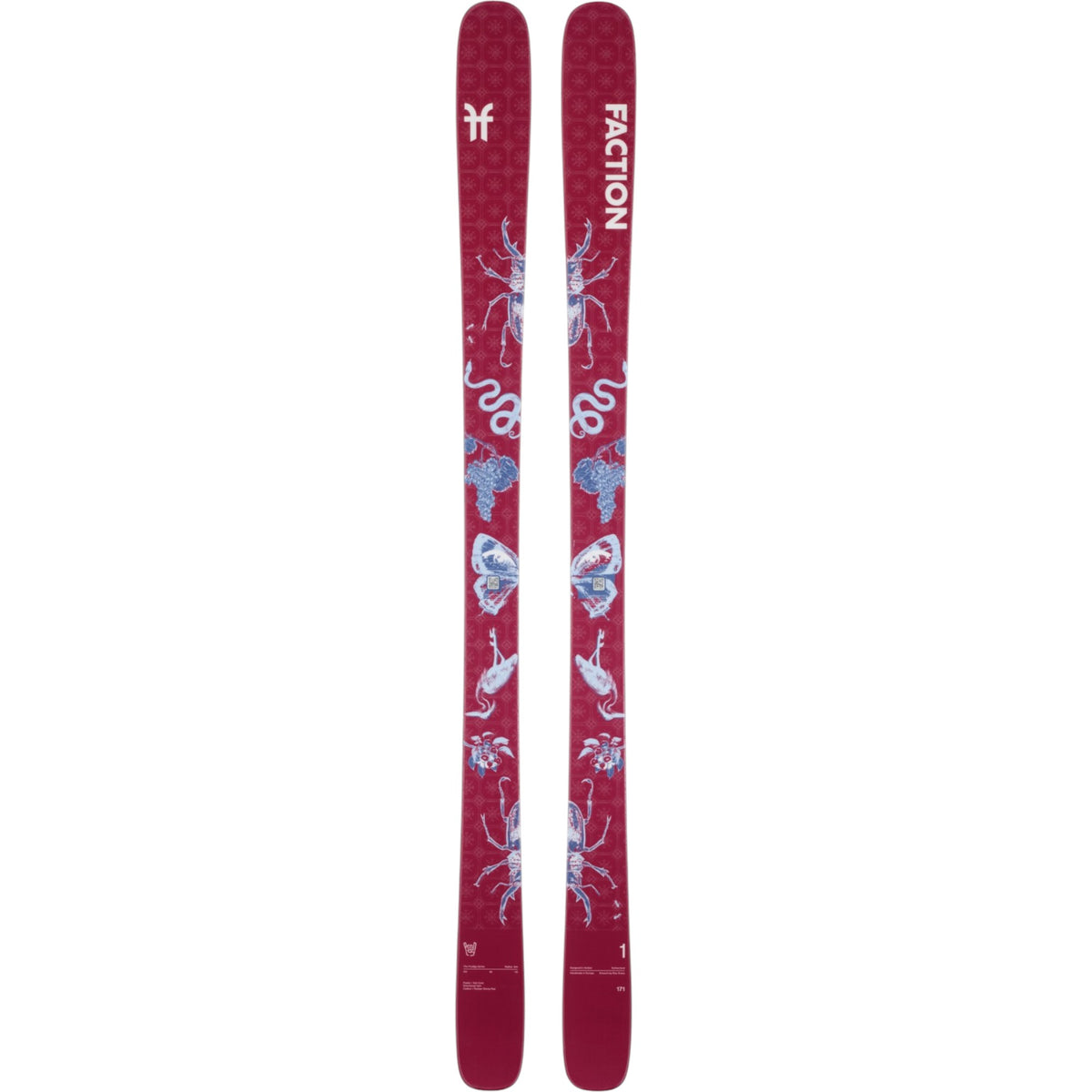 Skis Alpins Prodigy 1 Capsule Adulte