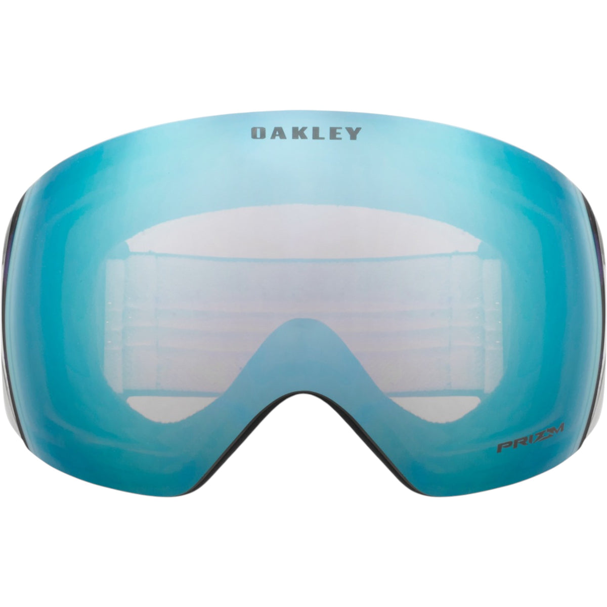 Flight Deck Adult Ski Goggles