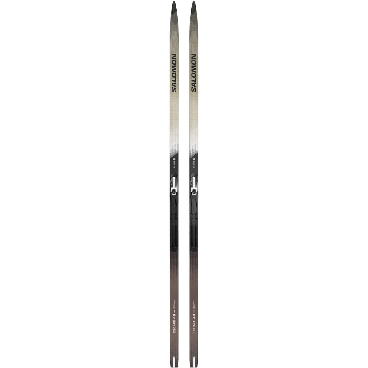 Salomon 174