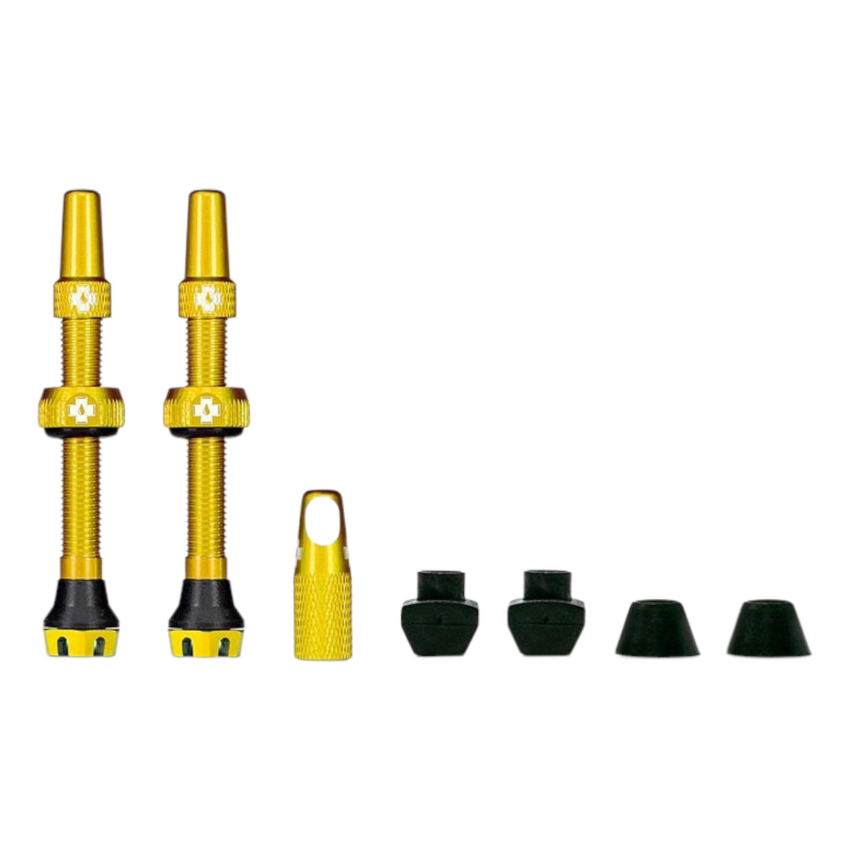 Valve Tubeless V2