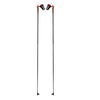 Force 3 Adult Cross Country Ski Poles