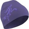 Arc'teryx Blurple/Violectric.023406