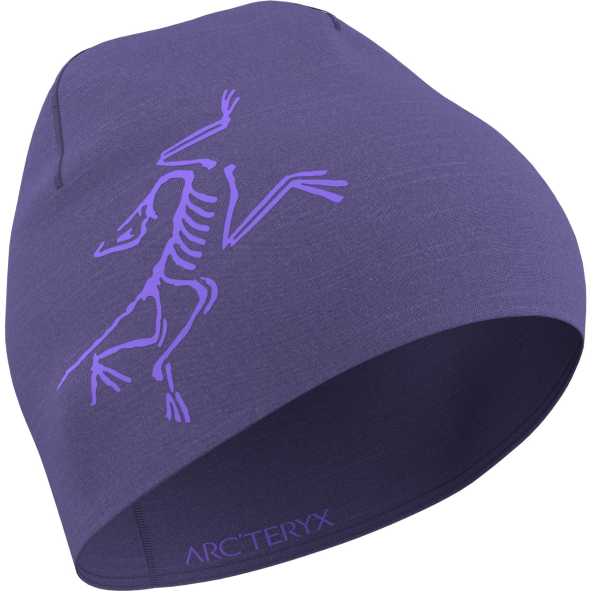 Arc'teryx Blurple/Violectric.023406