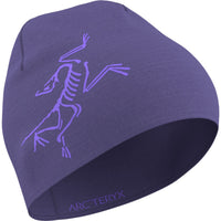 Arc'teryx Blurple/Violectric.023406