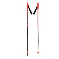 Bâtons de Ski Alpin Hero GS-SG Enfant