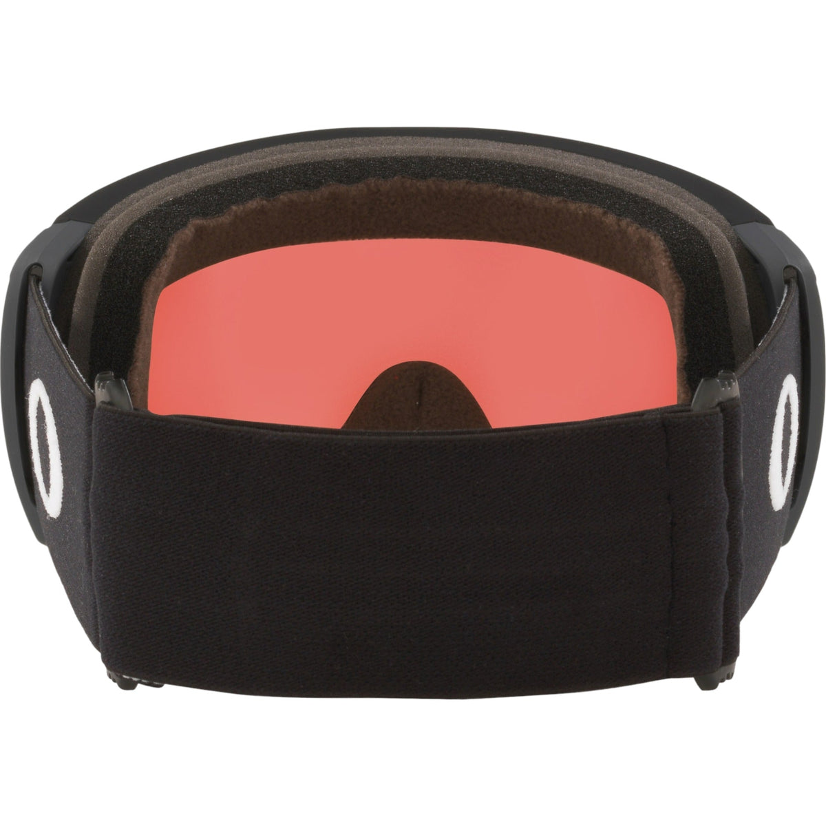 Flight Path L Adult Ski Goggles