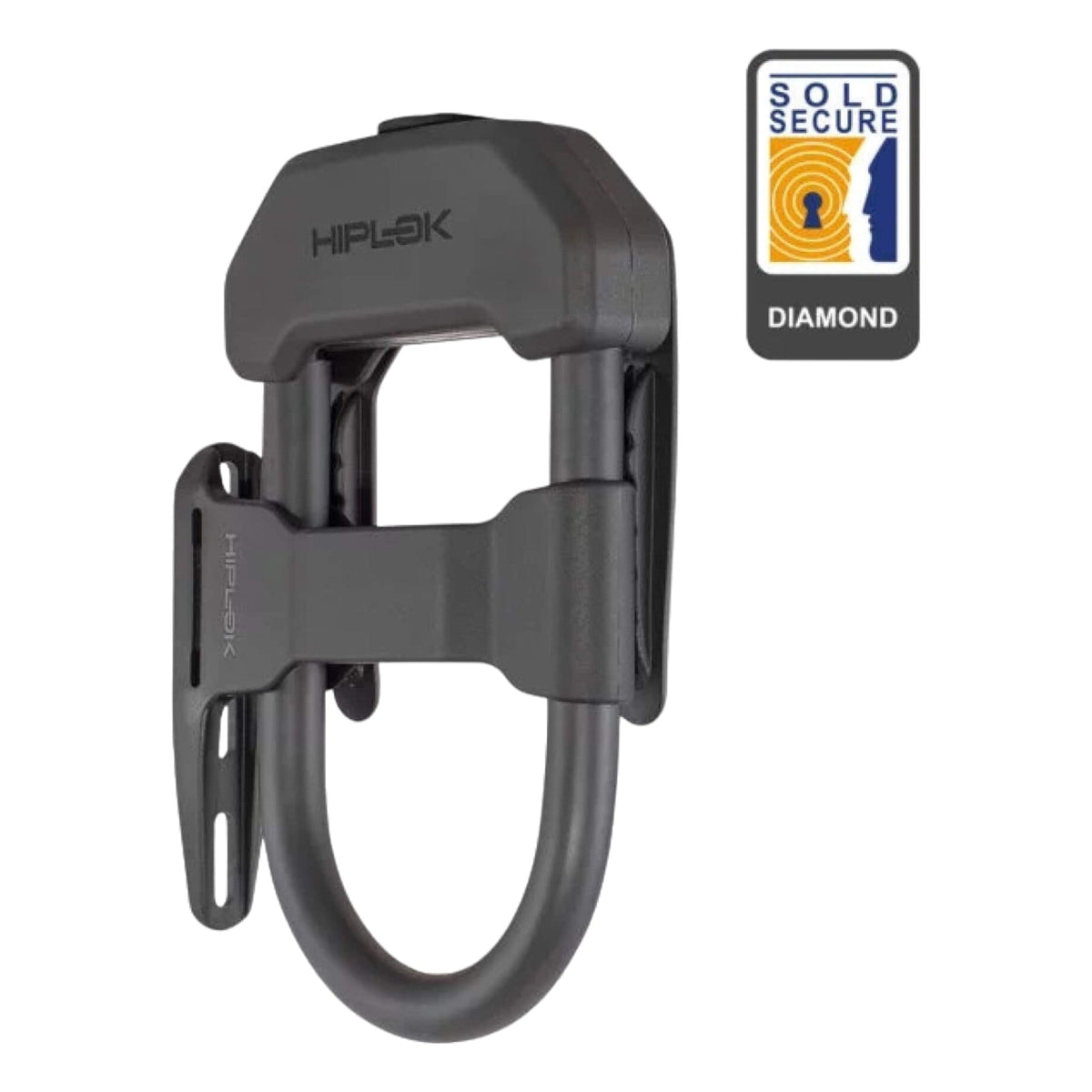 DXF Bike Lock with Mount