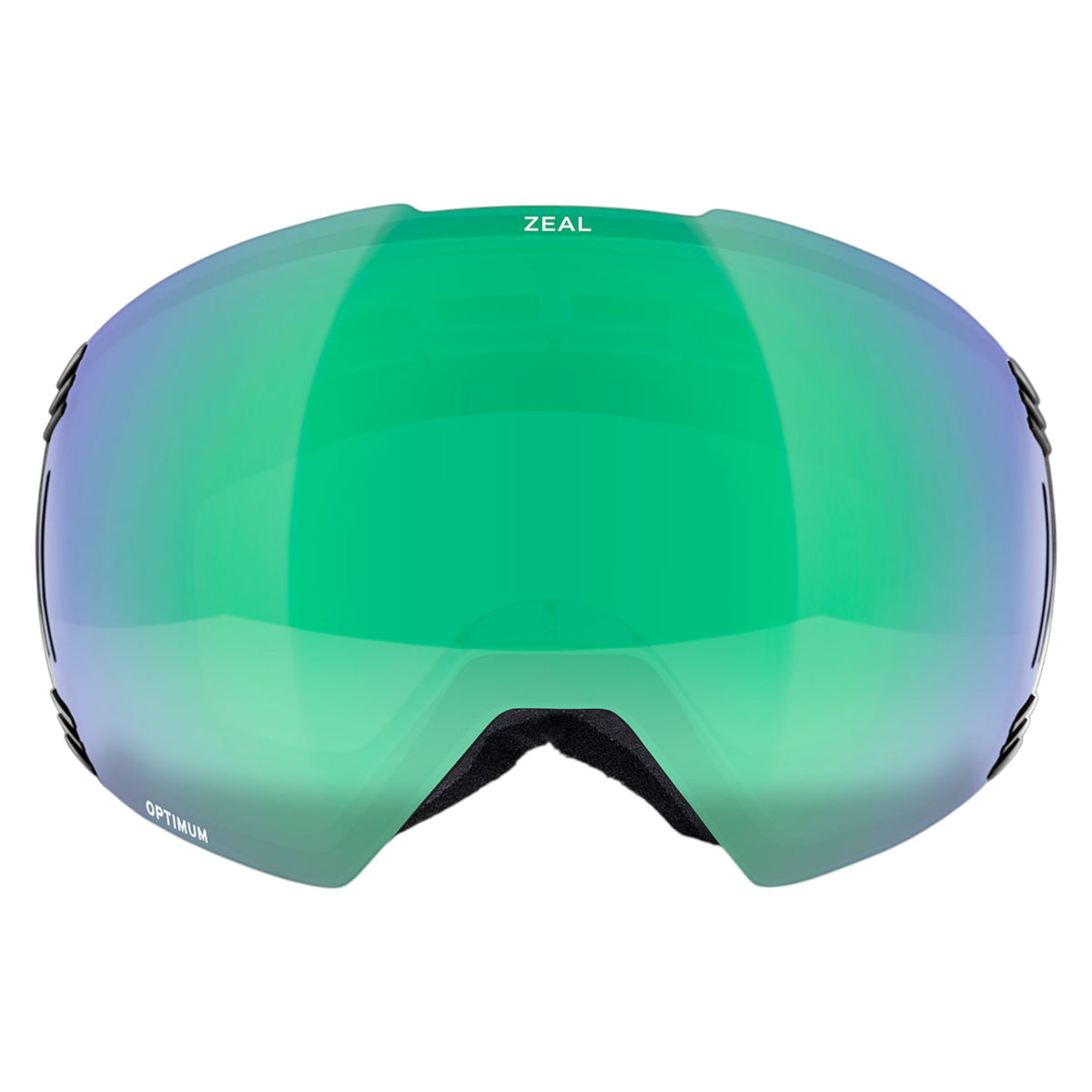 Cloudfall RLS+ODT Adult Ski Goggles