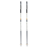 Legion Adult Ski Pole