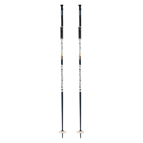 Legion Adult Ski Pole