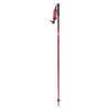 Wallischtick Adult Ski Poles