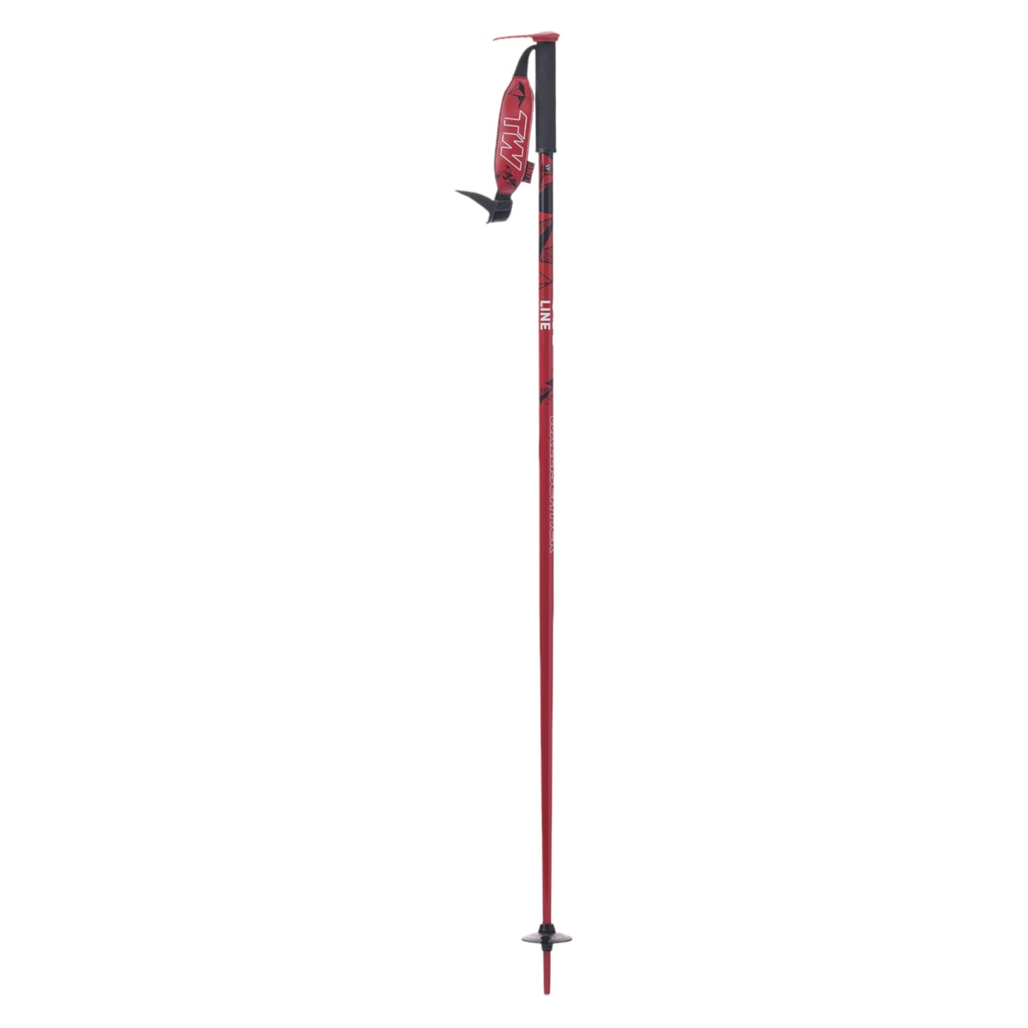 Wallischtick Adult Ski Poles
