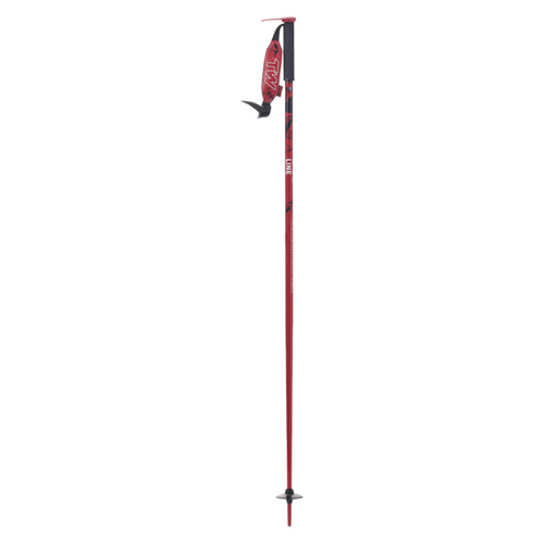 Wallischtick Adult Ski Poles