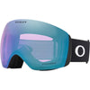 Flight Deck Adult Ski Goggles