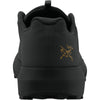 Arc'teryx Noir/Noir.001704 4.5
