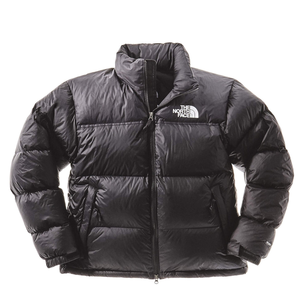 1996 Retro Nuptse Men Jacket