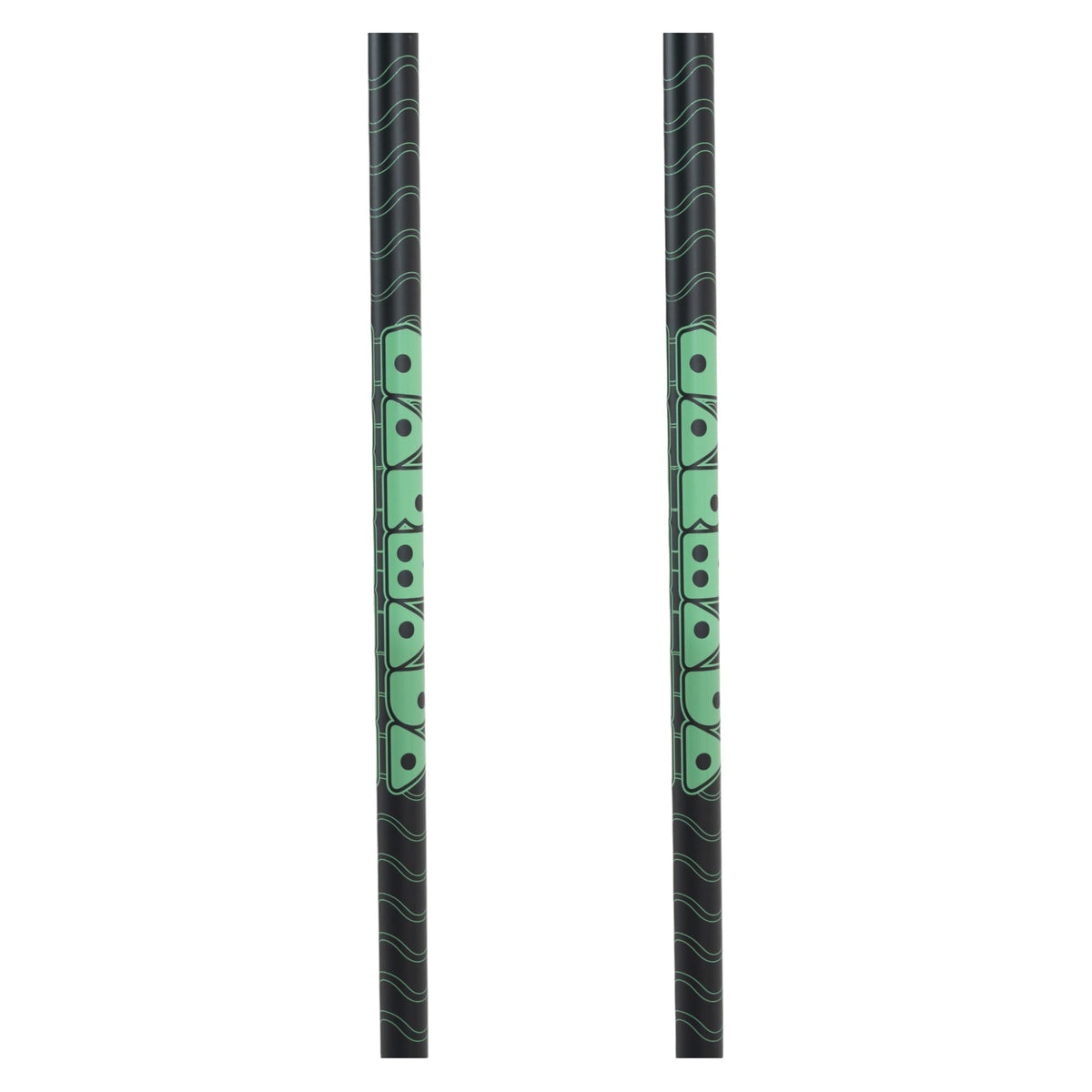 Triad Adult Ski Poles