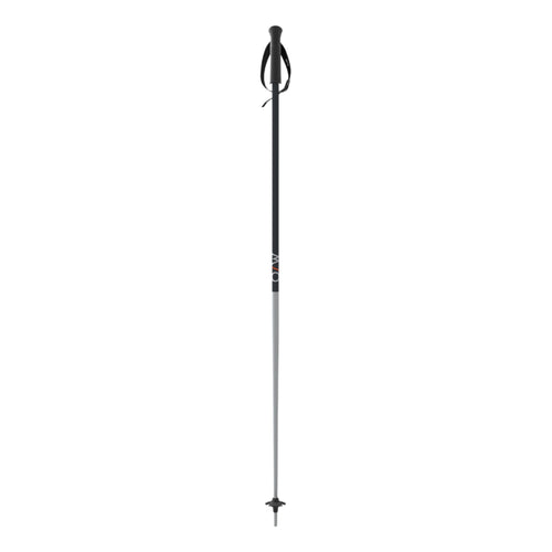 GT 18 Adult Ski Poles