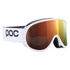 Lunettes de Ski Retina Mid Adulte