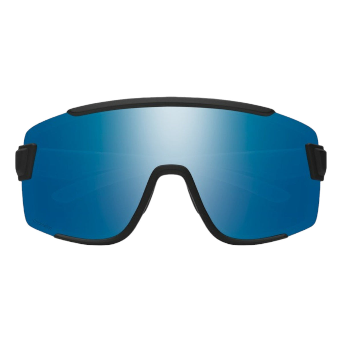 Lunettes de Soleil Wildcat Adulte