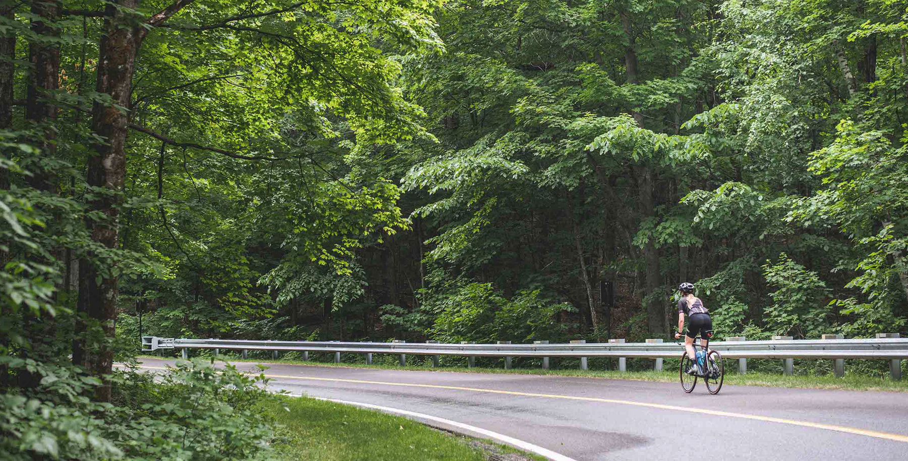 Un cycliste de route roule dans le parc de la Gatineau.