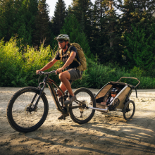 Trailers and Strollers