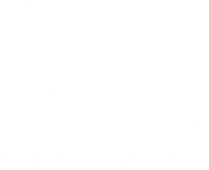 Turtle Fur